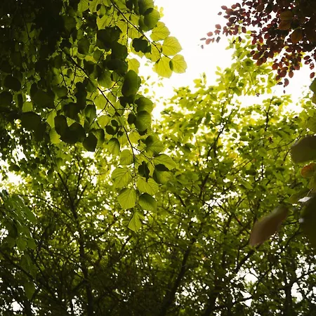 Σπίτι διακοπών Red Rose Self Catering