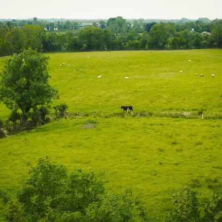 Red Rose Self Catering *