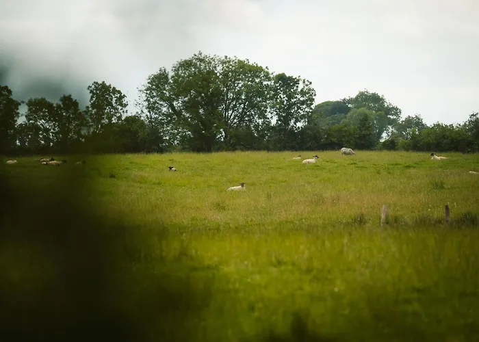 Red Rose Self Catering Ferienhaus