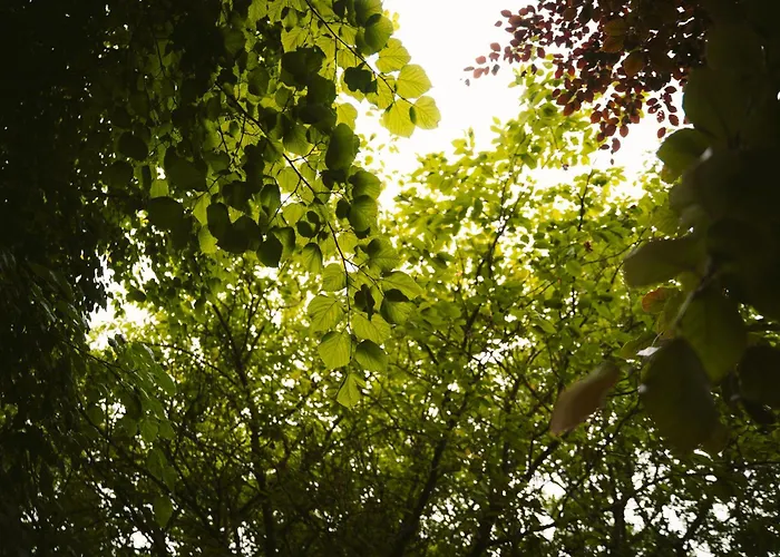 Ferienhaus Red Rose Self Catering