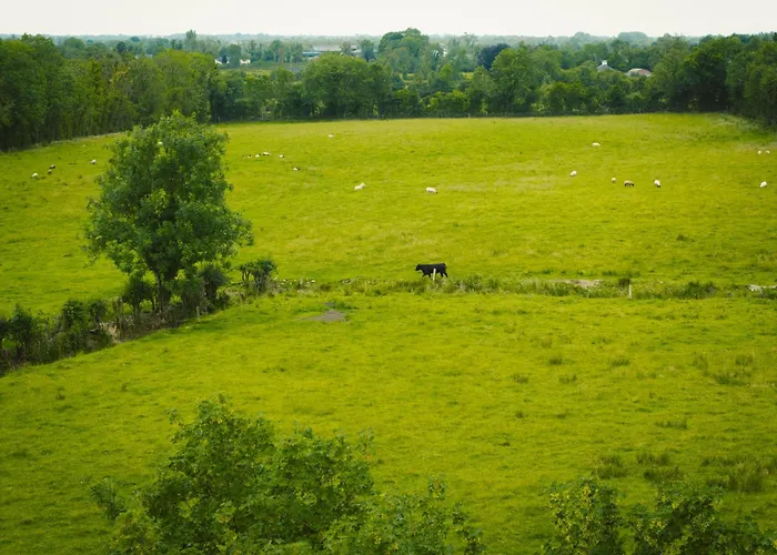 Red Rose Self Catering *